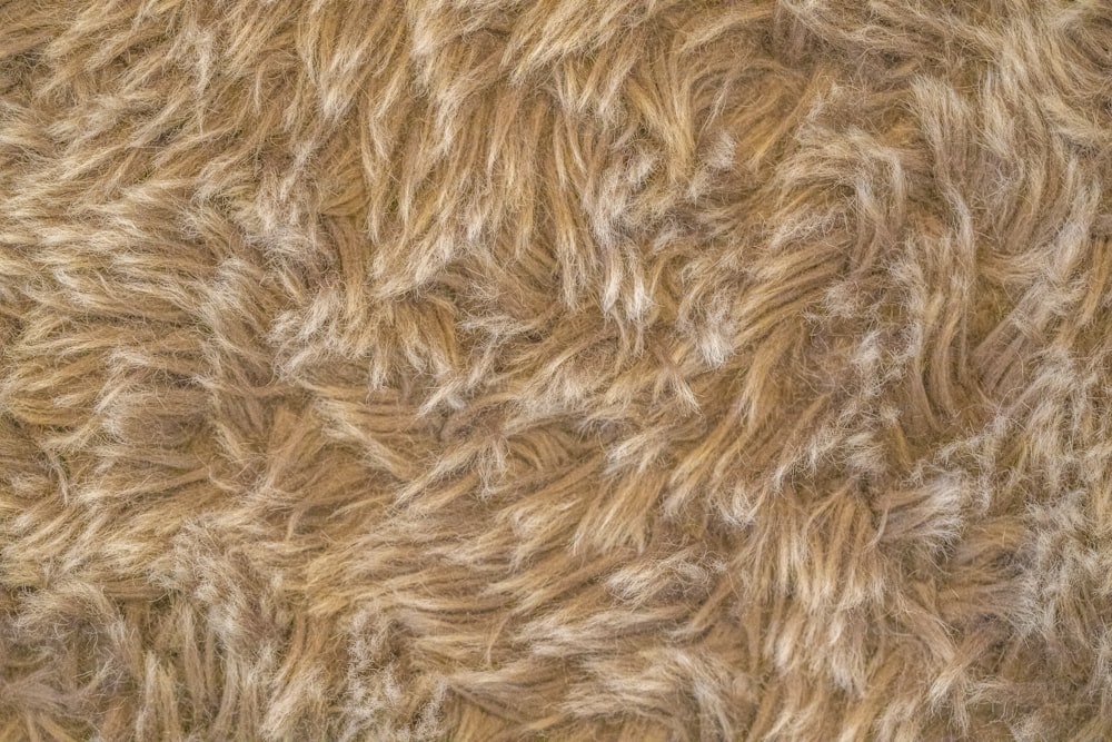 Un primer plano del pelaje de un animal peludo