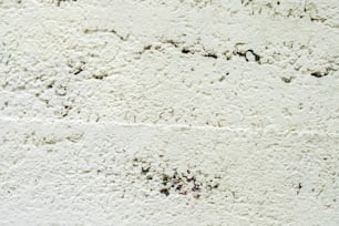 a red fire hydrant sitting in front of a white wall