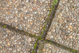 Un gros plan d’une rue avec des rochers et de l’herbe