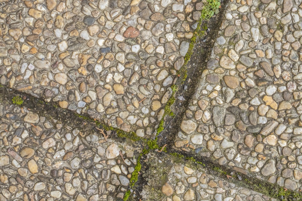 um close up de uma rua com pedras e grama