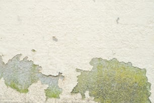 페인트가 벗겨진 벽의 클로즈업