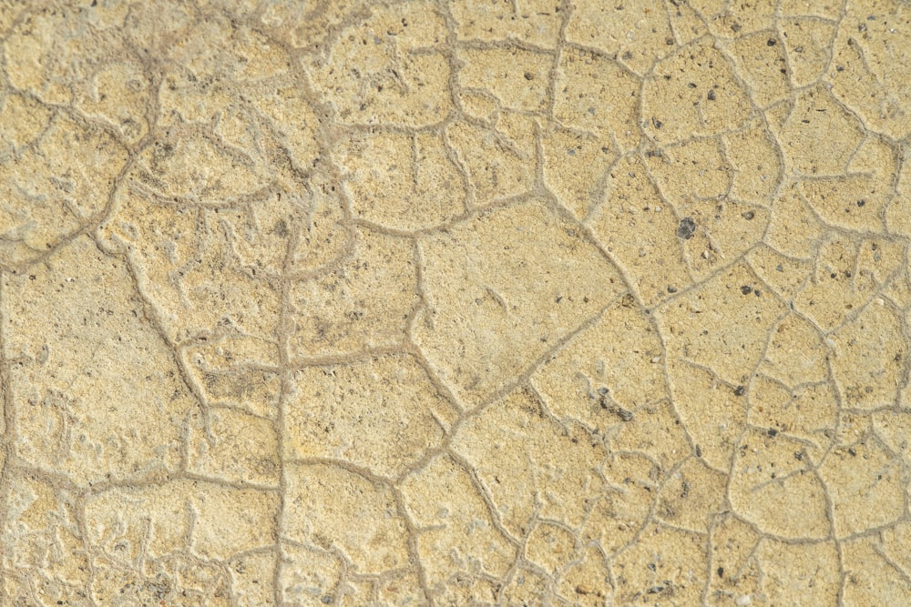 a close up of a stone surface with cracks