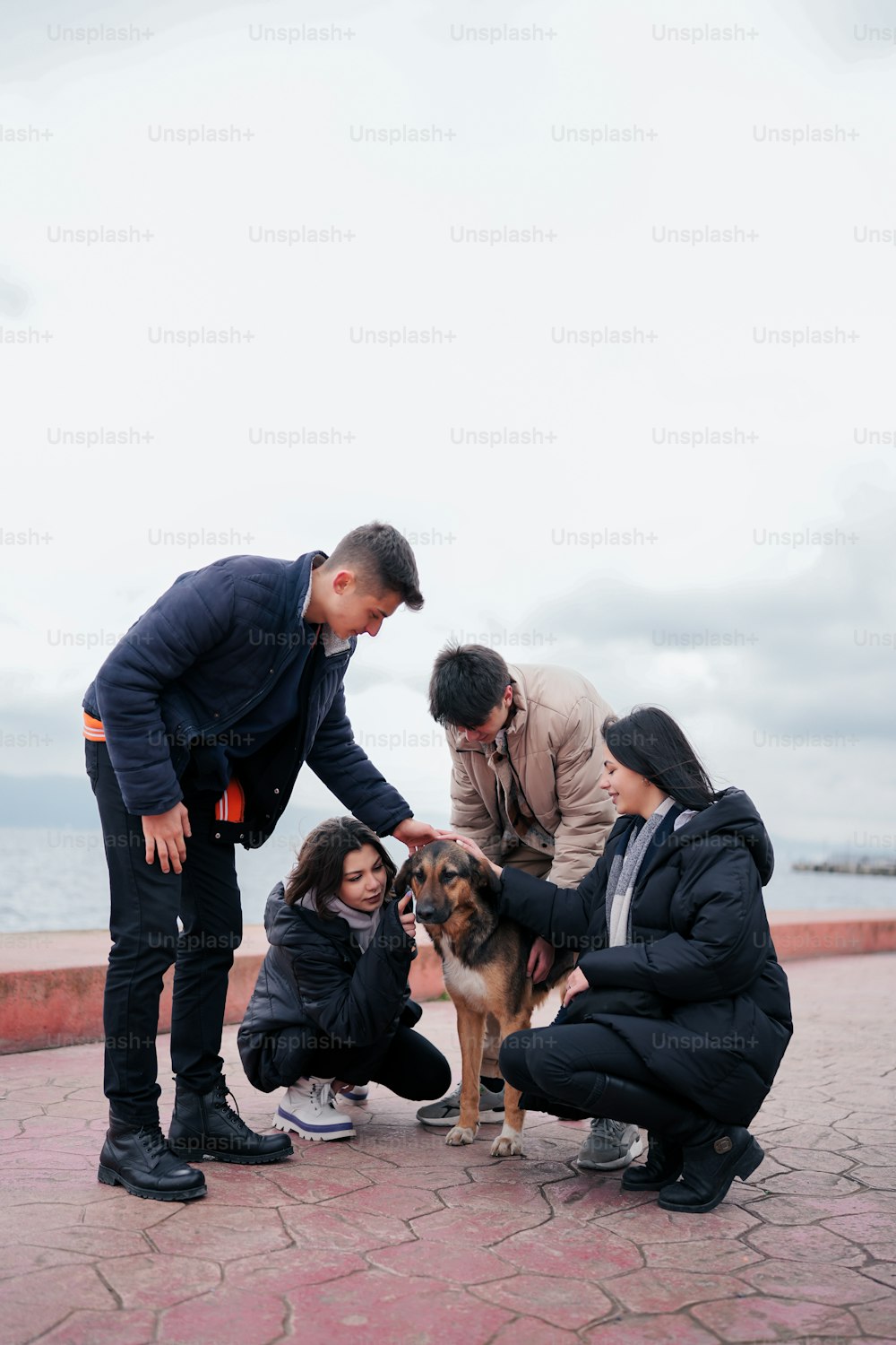 a group of people standing around a dog