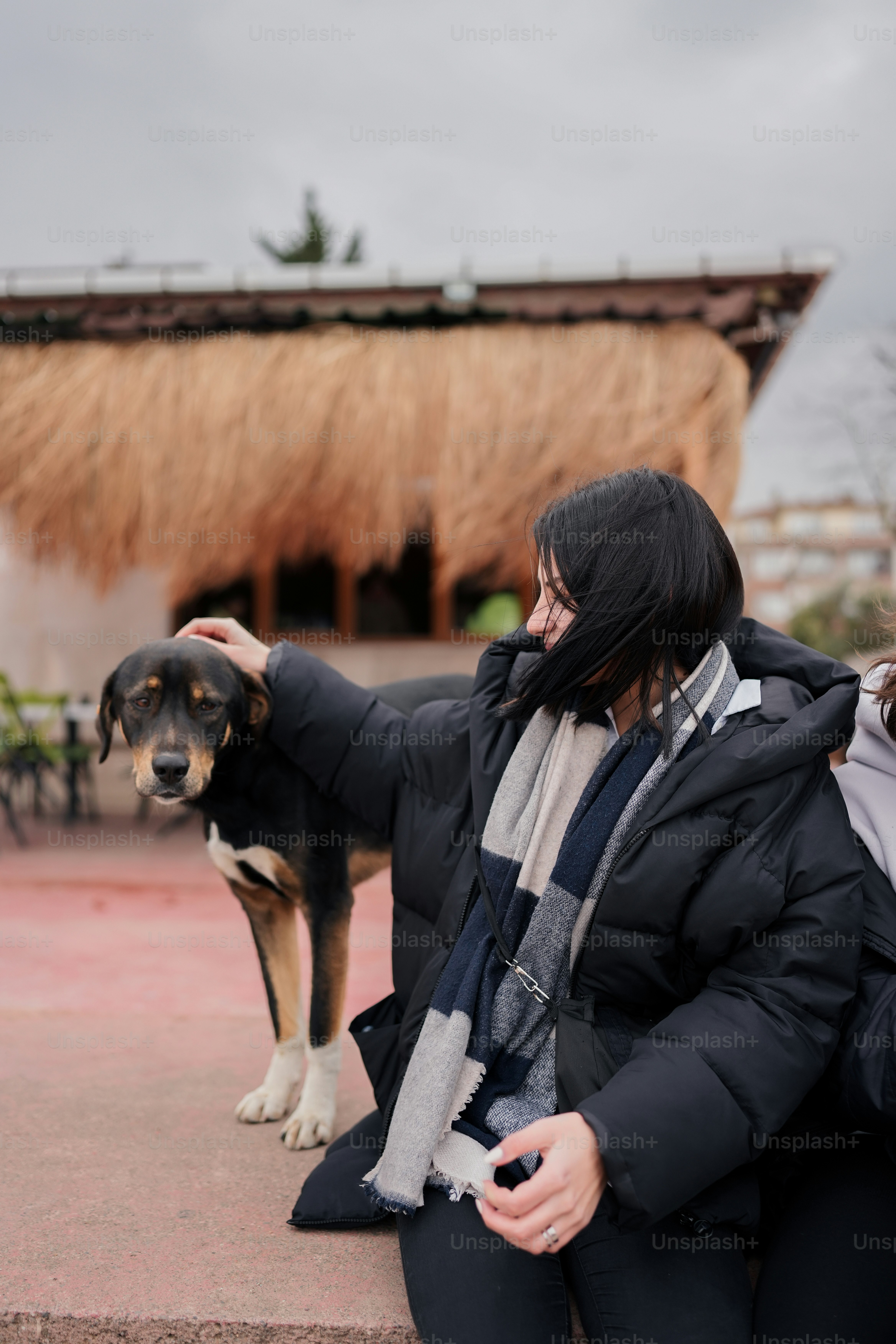 a woman petting a dog on the nose