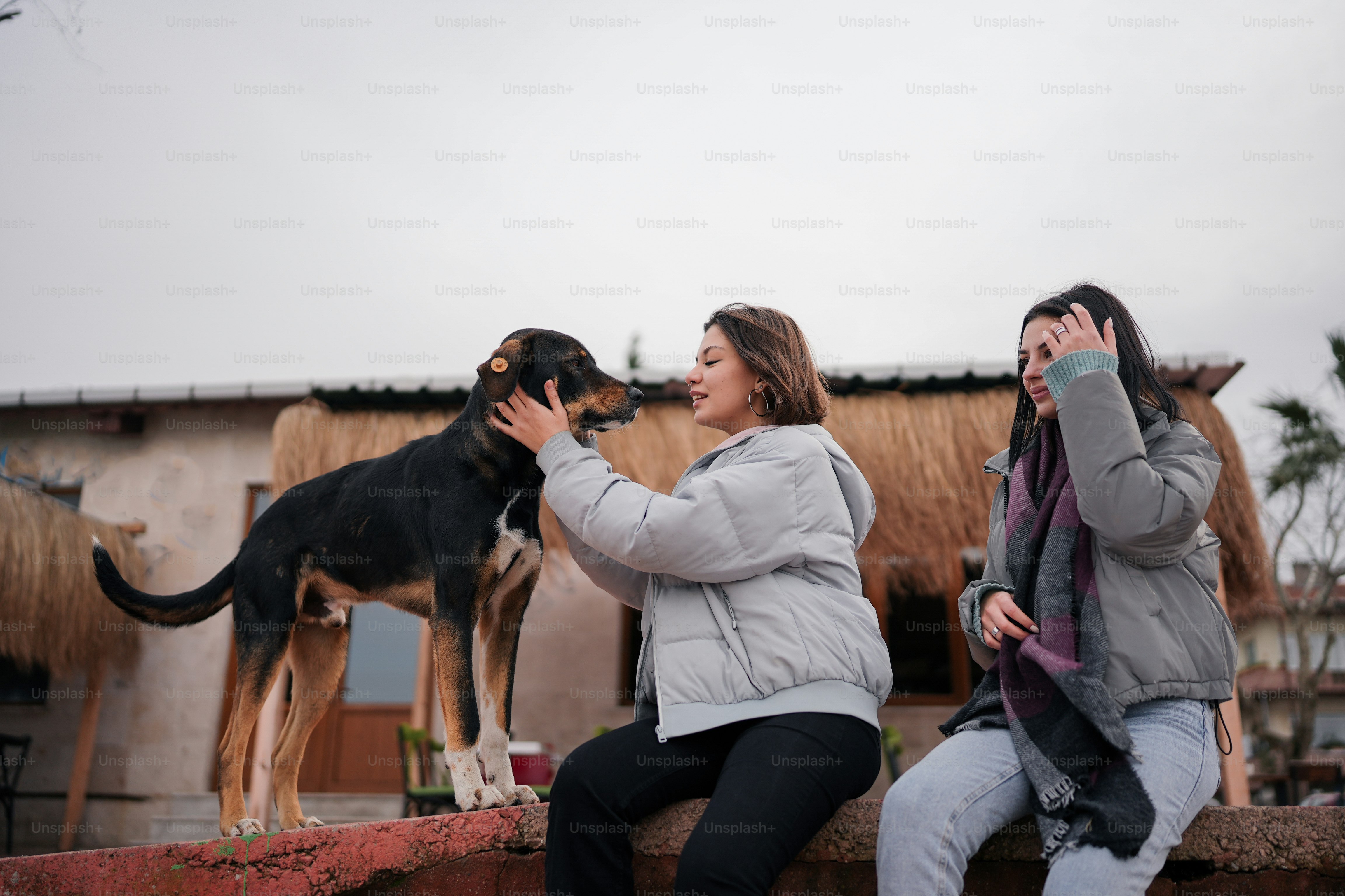 a couple of people that are petting a dog