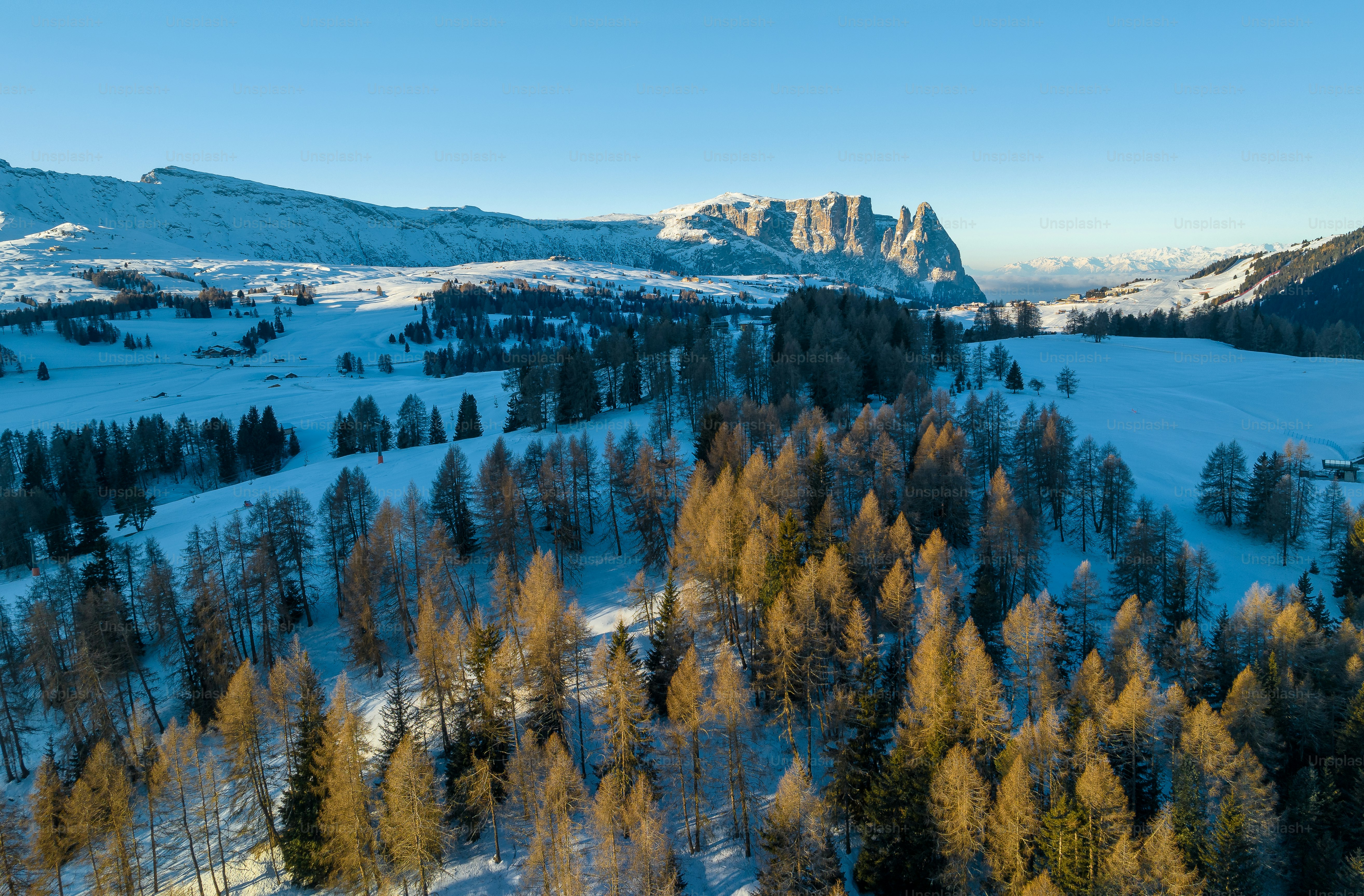 a snowy landscape with trees and mountains in the background