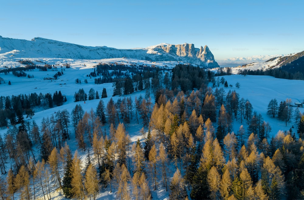 Un paisaje nevado con árboles y montañas al fondo