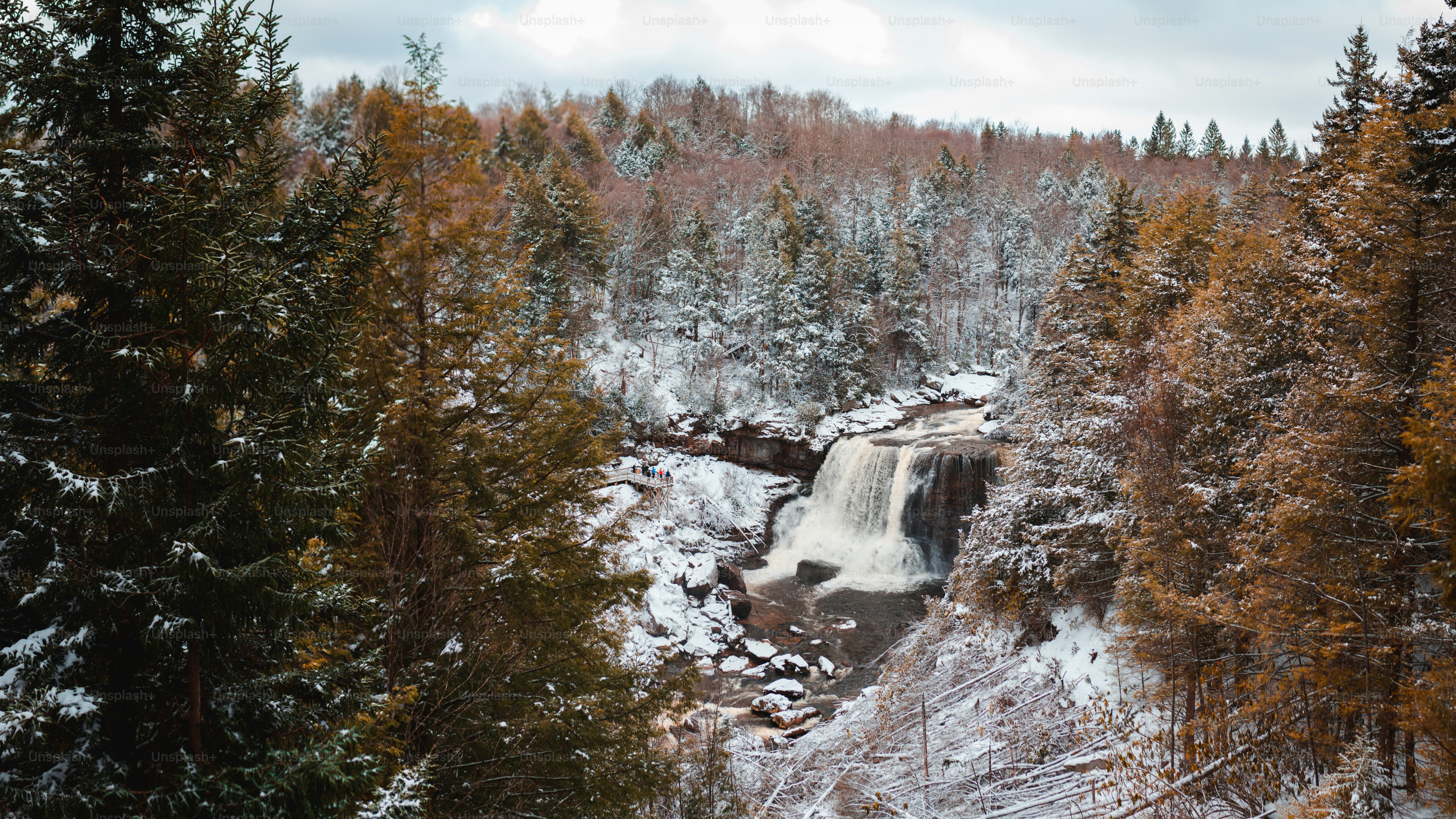 Una cascata nel mezzo di una foresta innevata