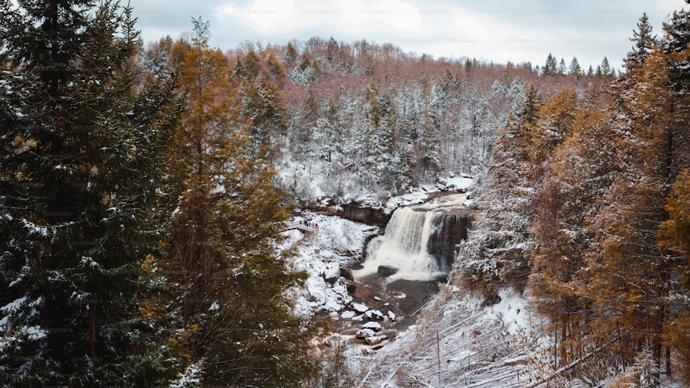 a waterfall in the middle of a snowy forest