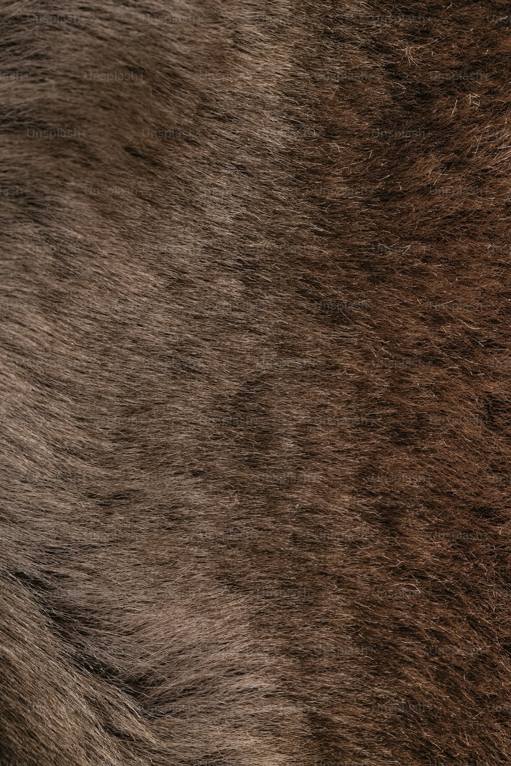 the fur of a horse is brown and black