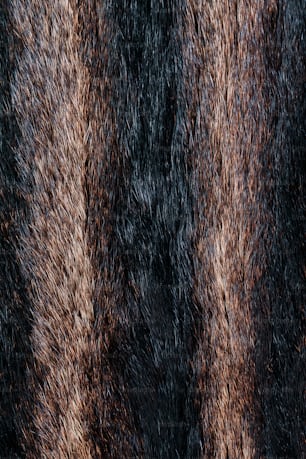 a close up view of a fur texture
