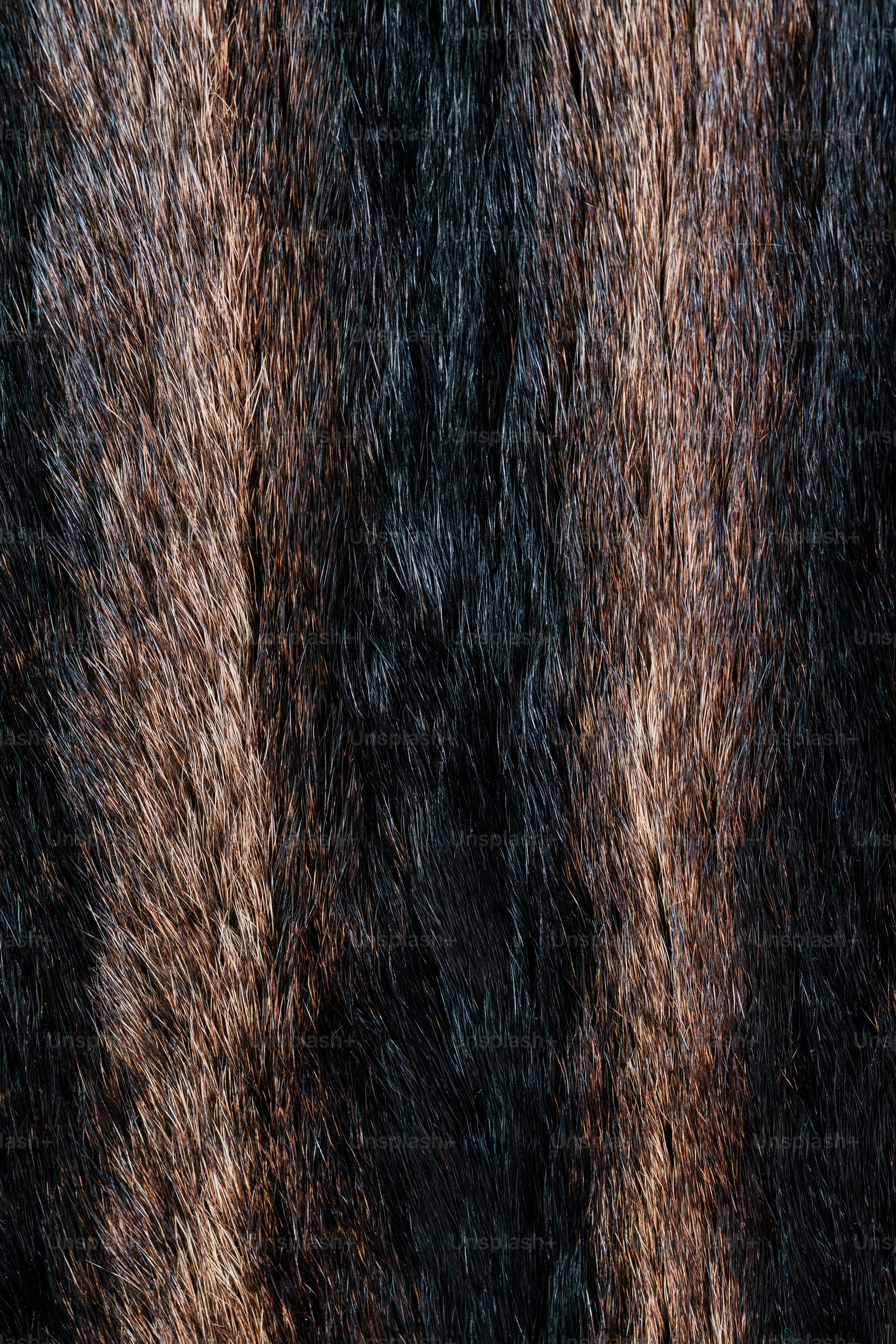 a close up view of a fur texture