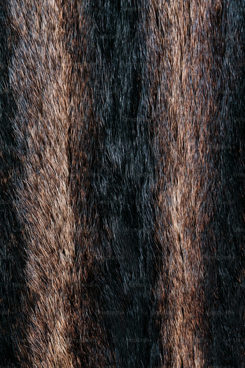 a close up view of a fur texture