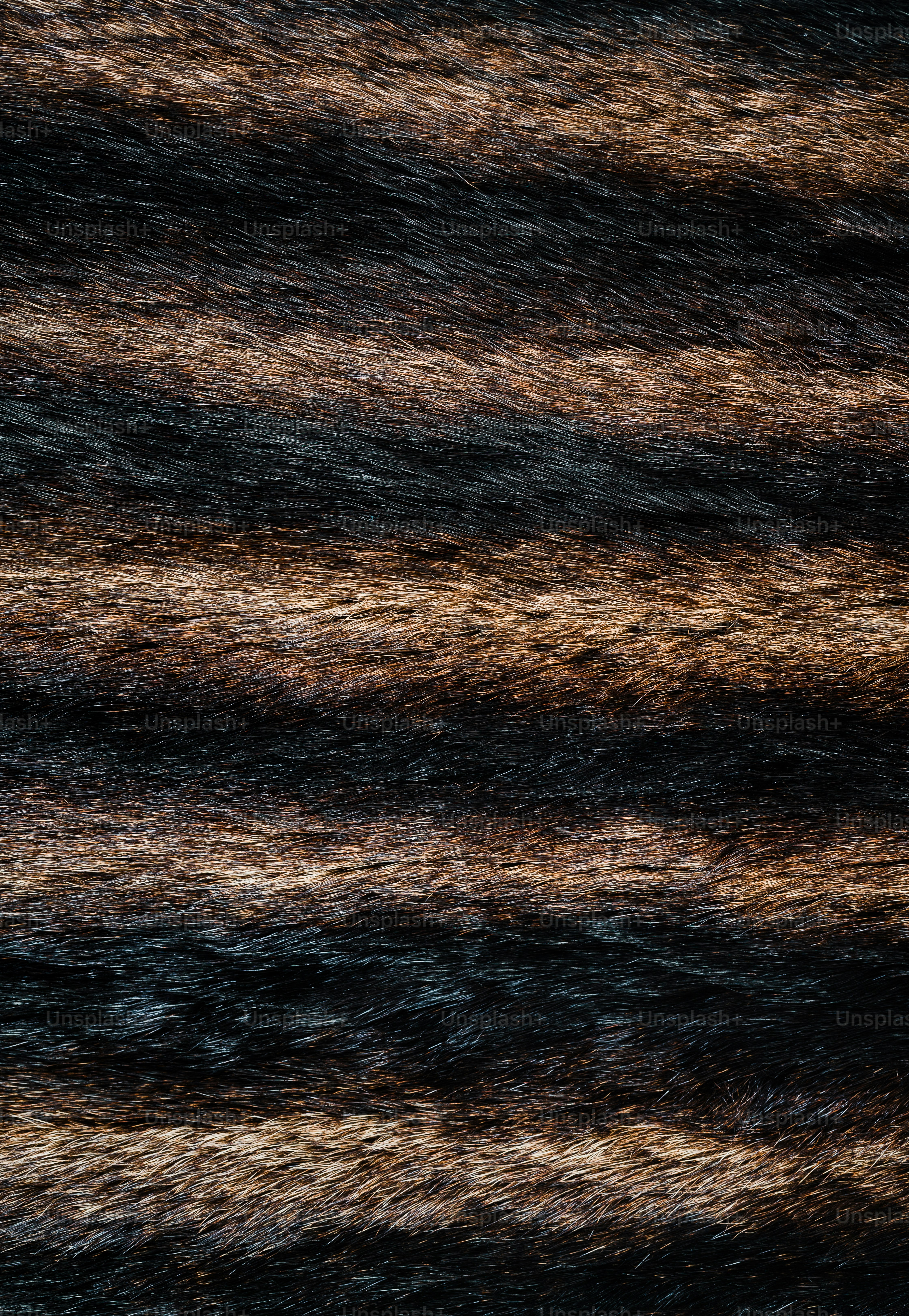 a blurry image of brown and black hair