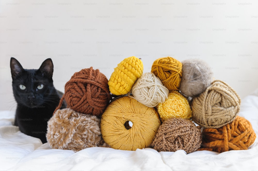 a black cat sitting next to a pile of balls of yarn