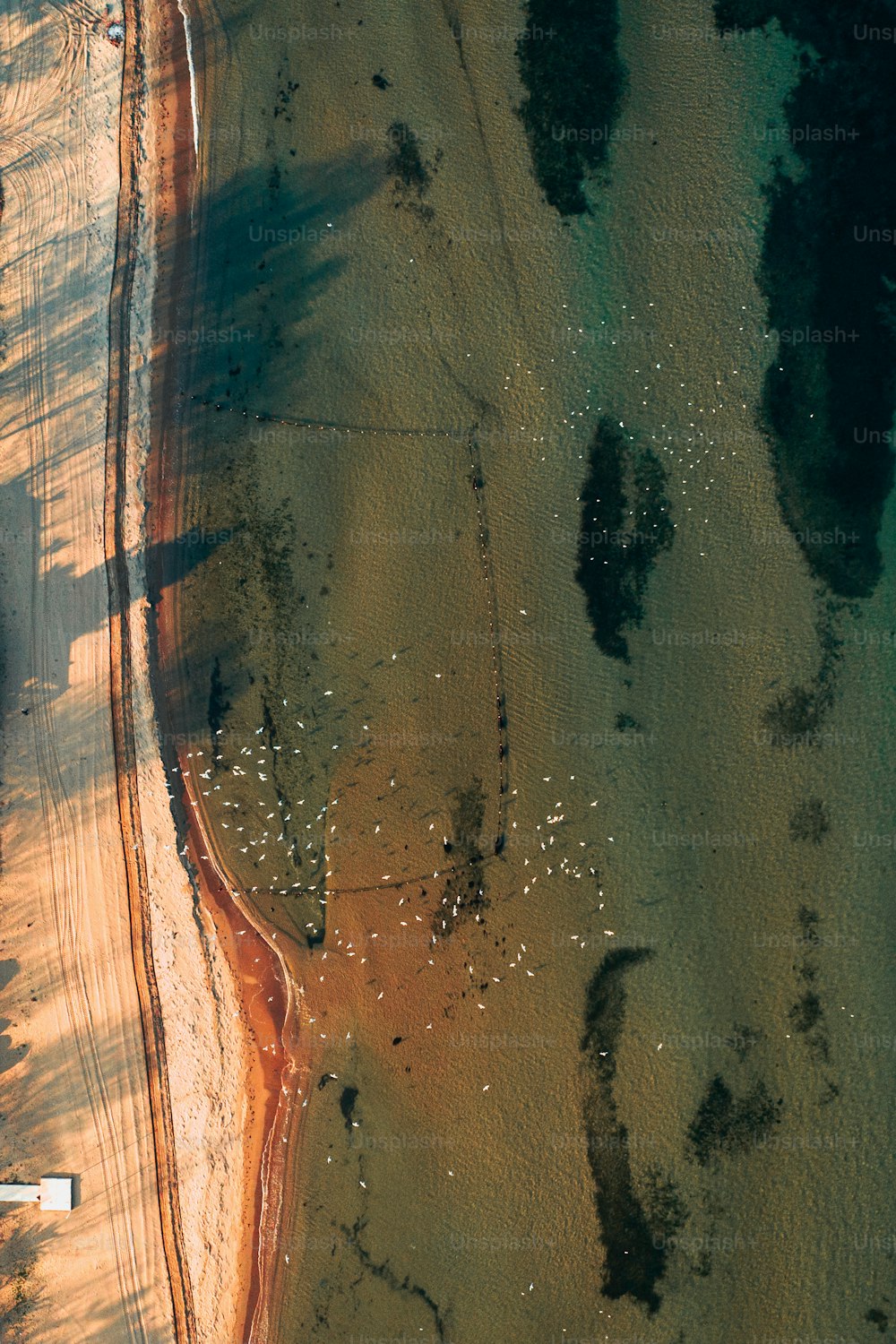 an aerial view of a sandy beach and a body of water