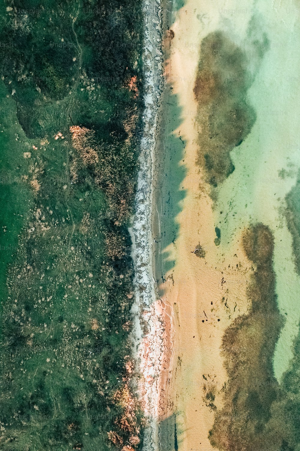 Una vista aérea de una playa y un cuerpo de agua