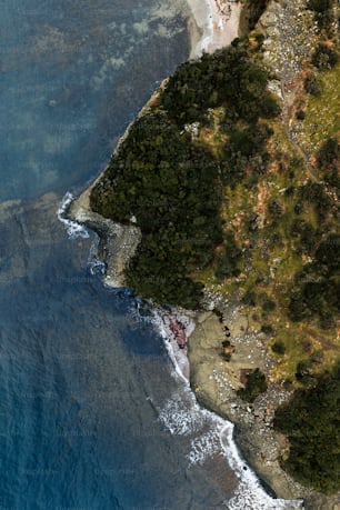a bird's eye view of the ocean and land