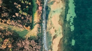 uma vista aérea de uma praia e árvores