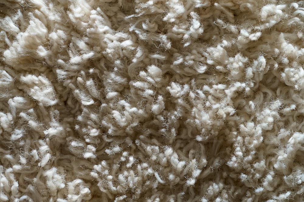 Un primer plano de la textura de una alfombra blanca