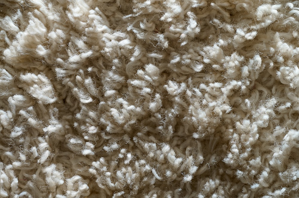 a close up of a white carpet texture