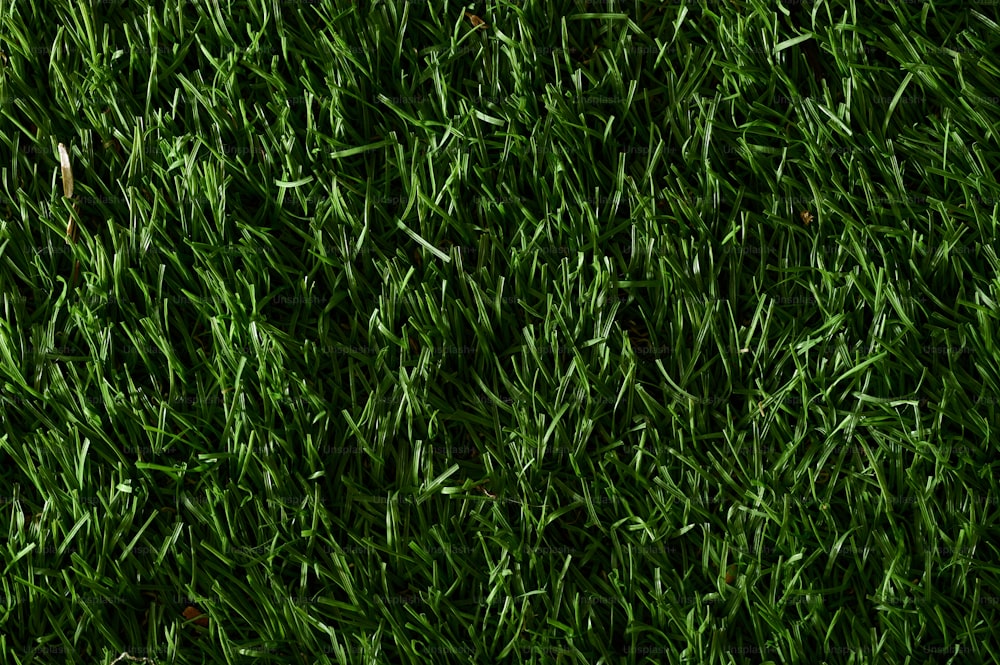 a close up of a green grass texture