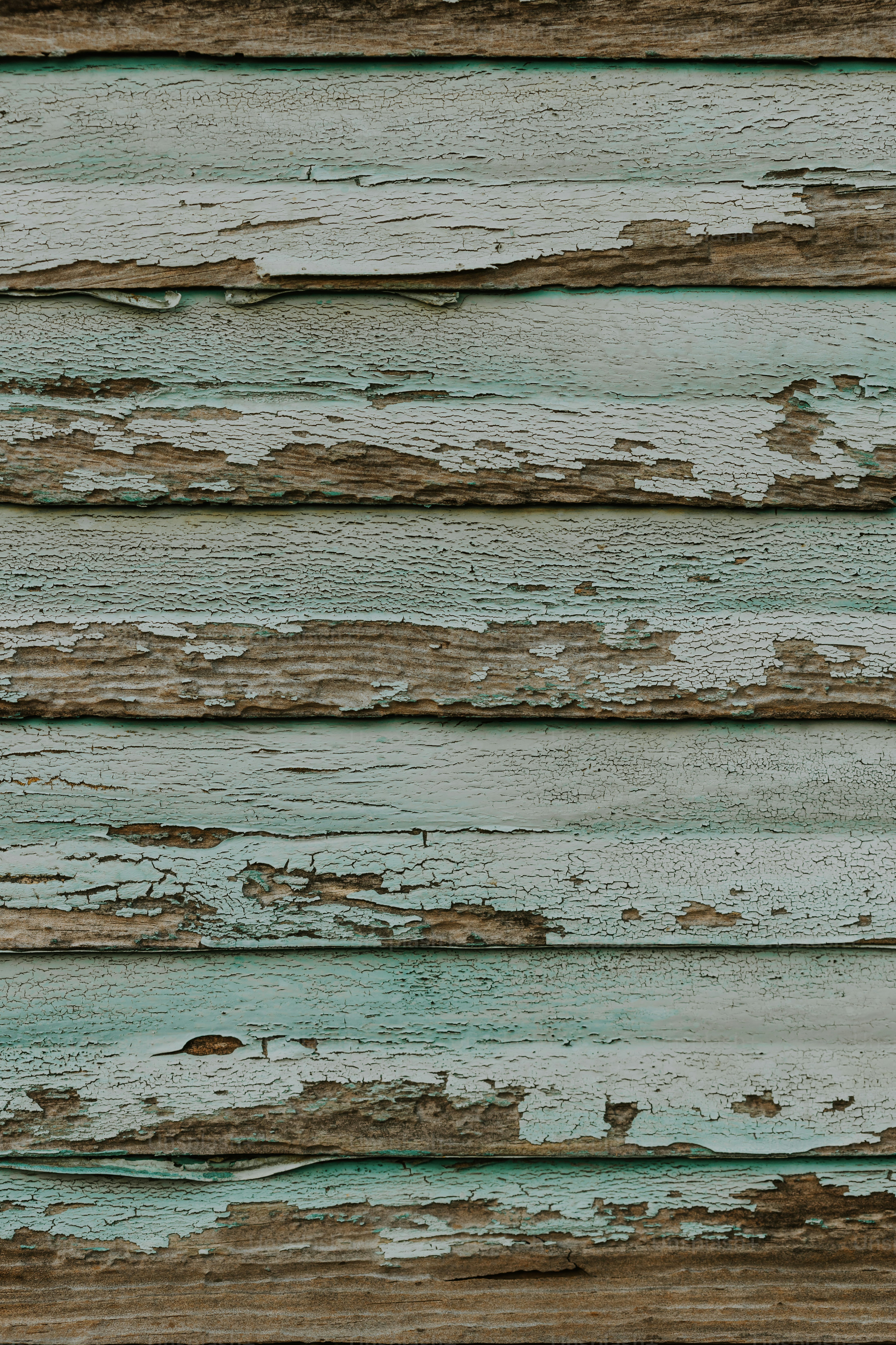 a bird is perched on a piece of wood