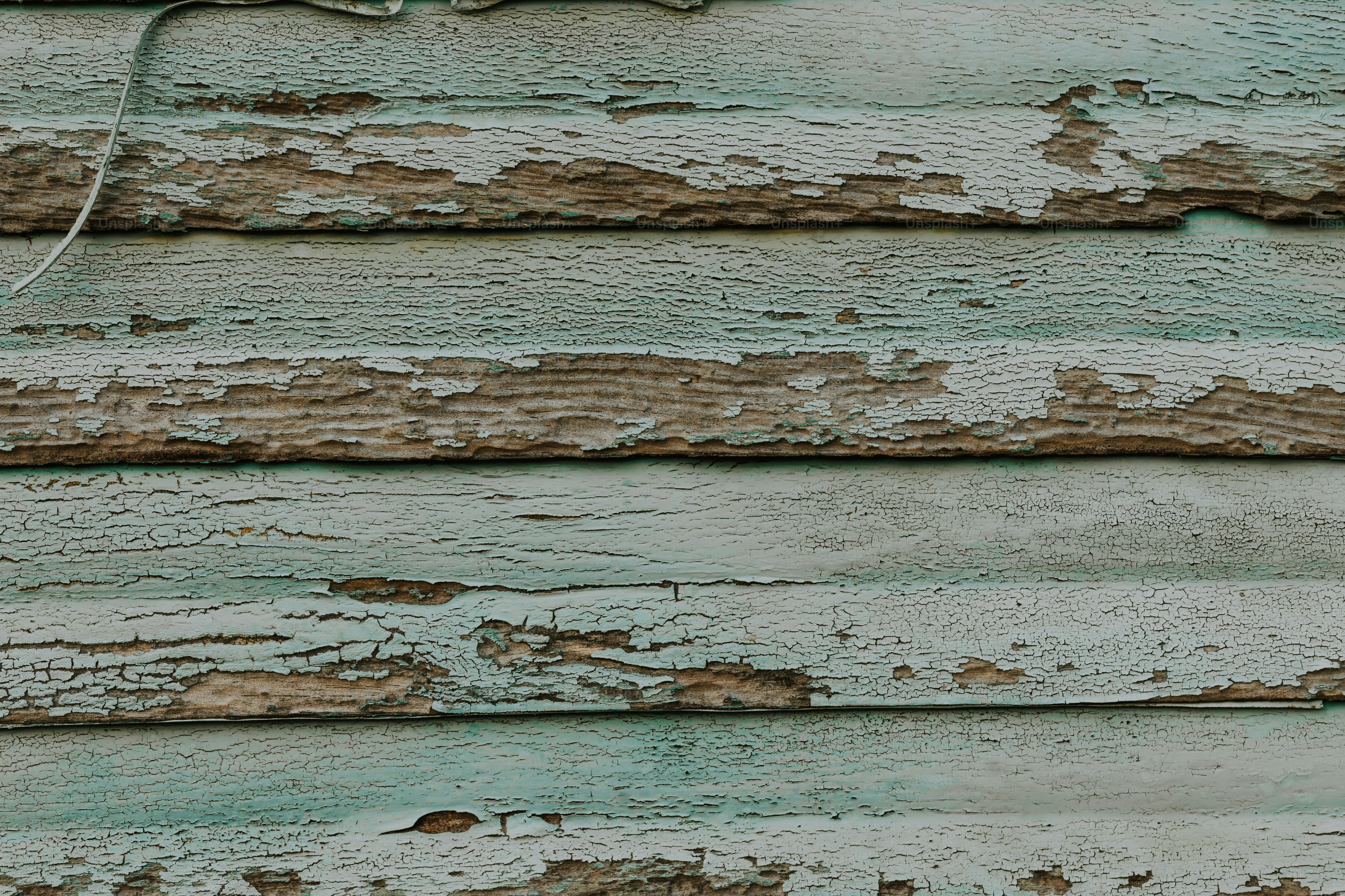 Un pájaro se posa en el costado de un edificio