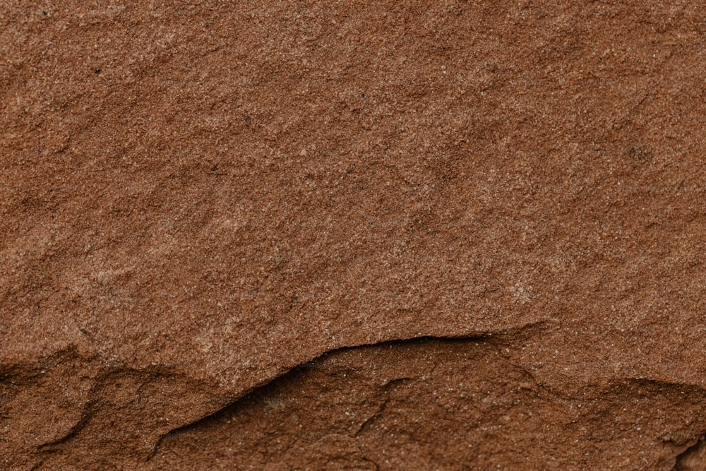 un primo piano di una roccia con una piccola crepa in esso