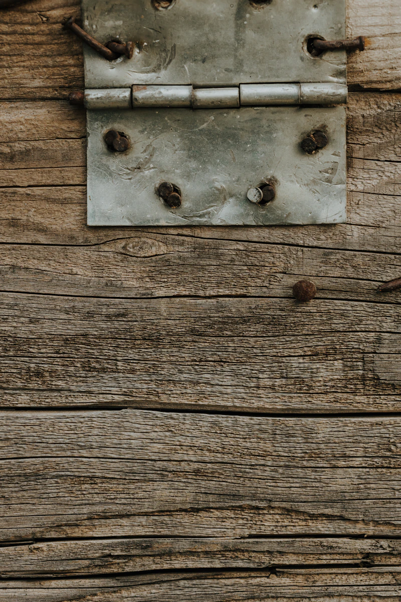 Door Hinges 4in (Pair)