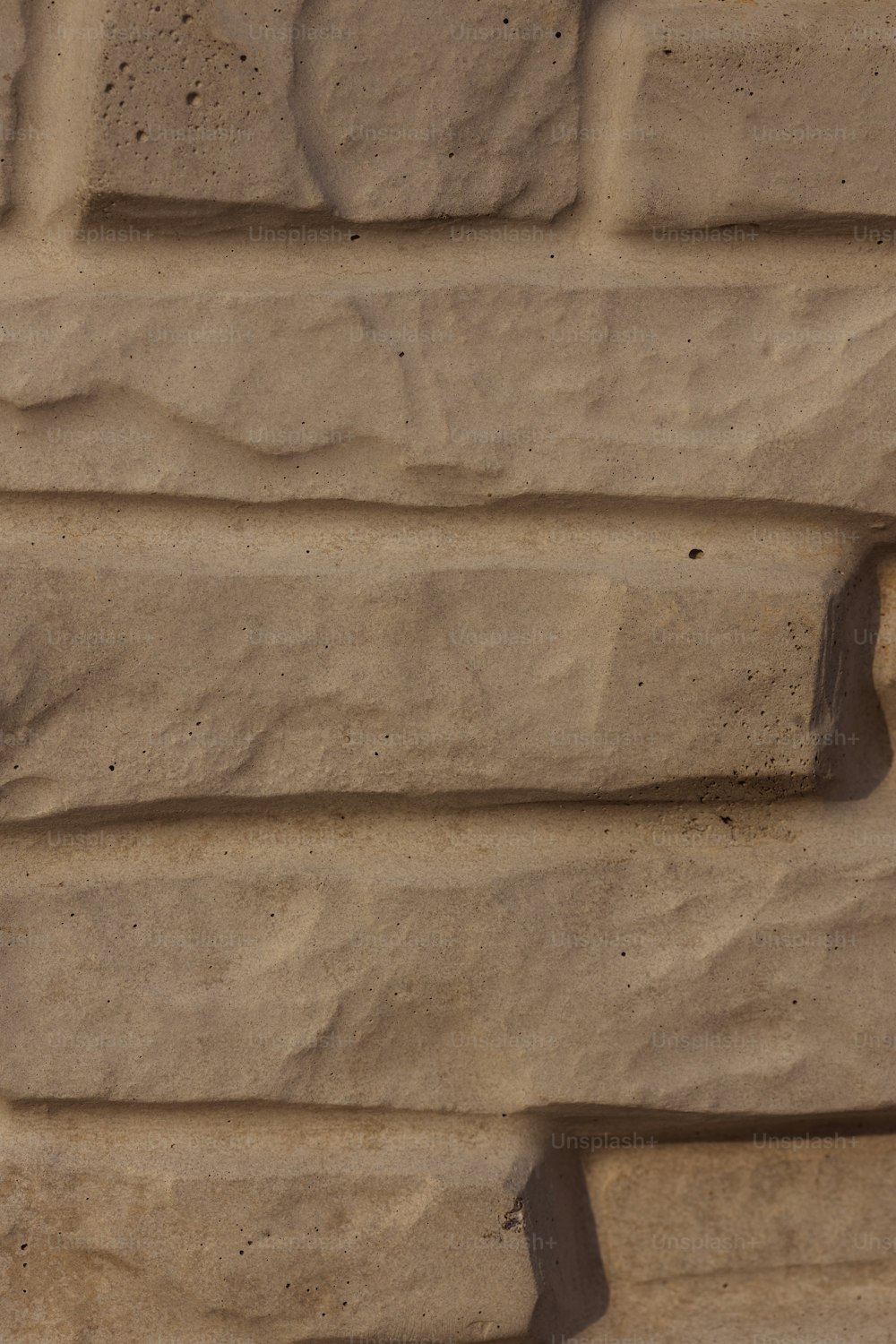 Un oiseau assis sur le rebord d’un mur de pierre