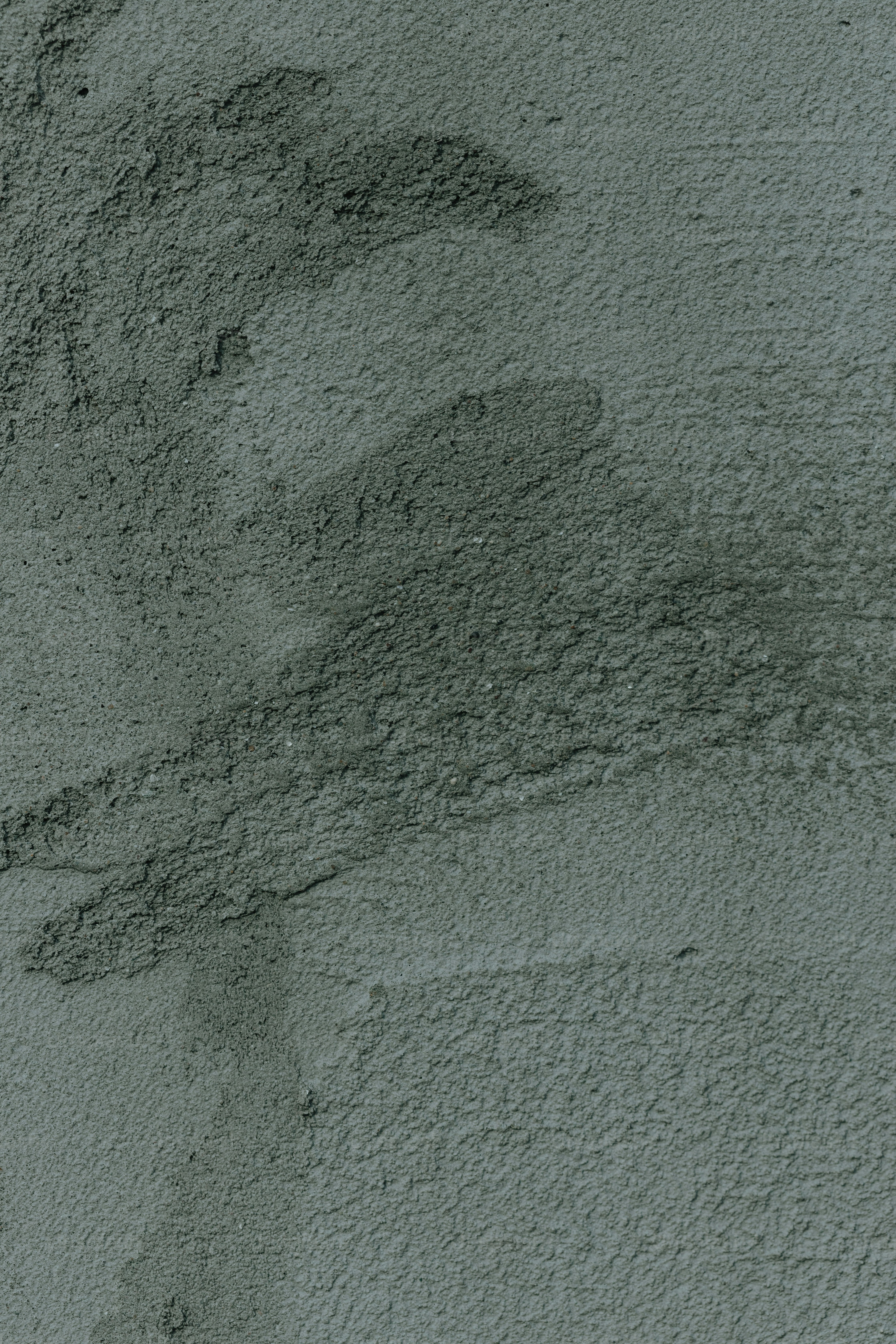 해변에서 새의 흑백 사진