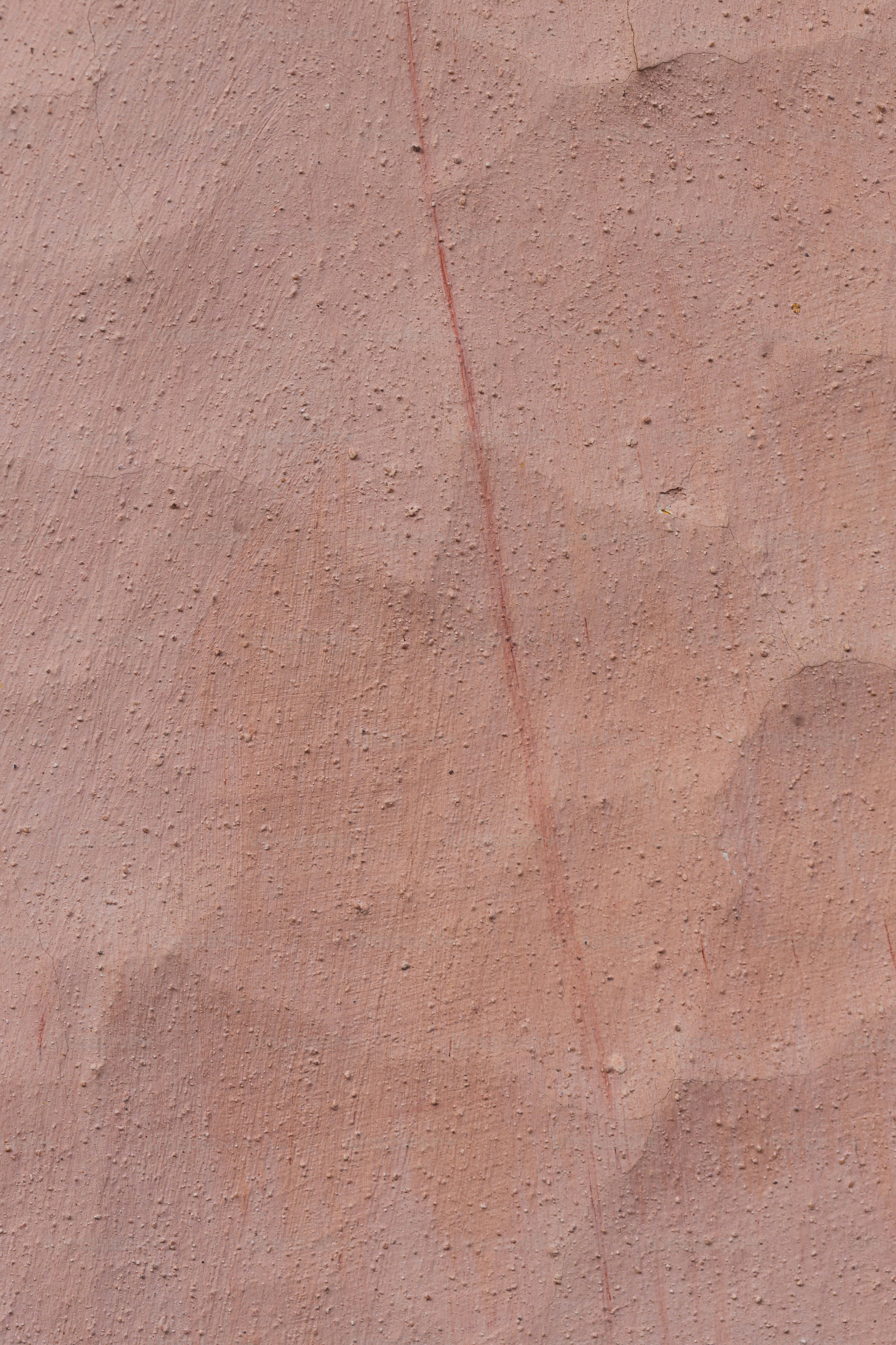 a bird is standing on a pink wall