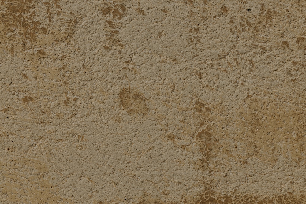 a close up of a wall with dirt on it