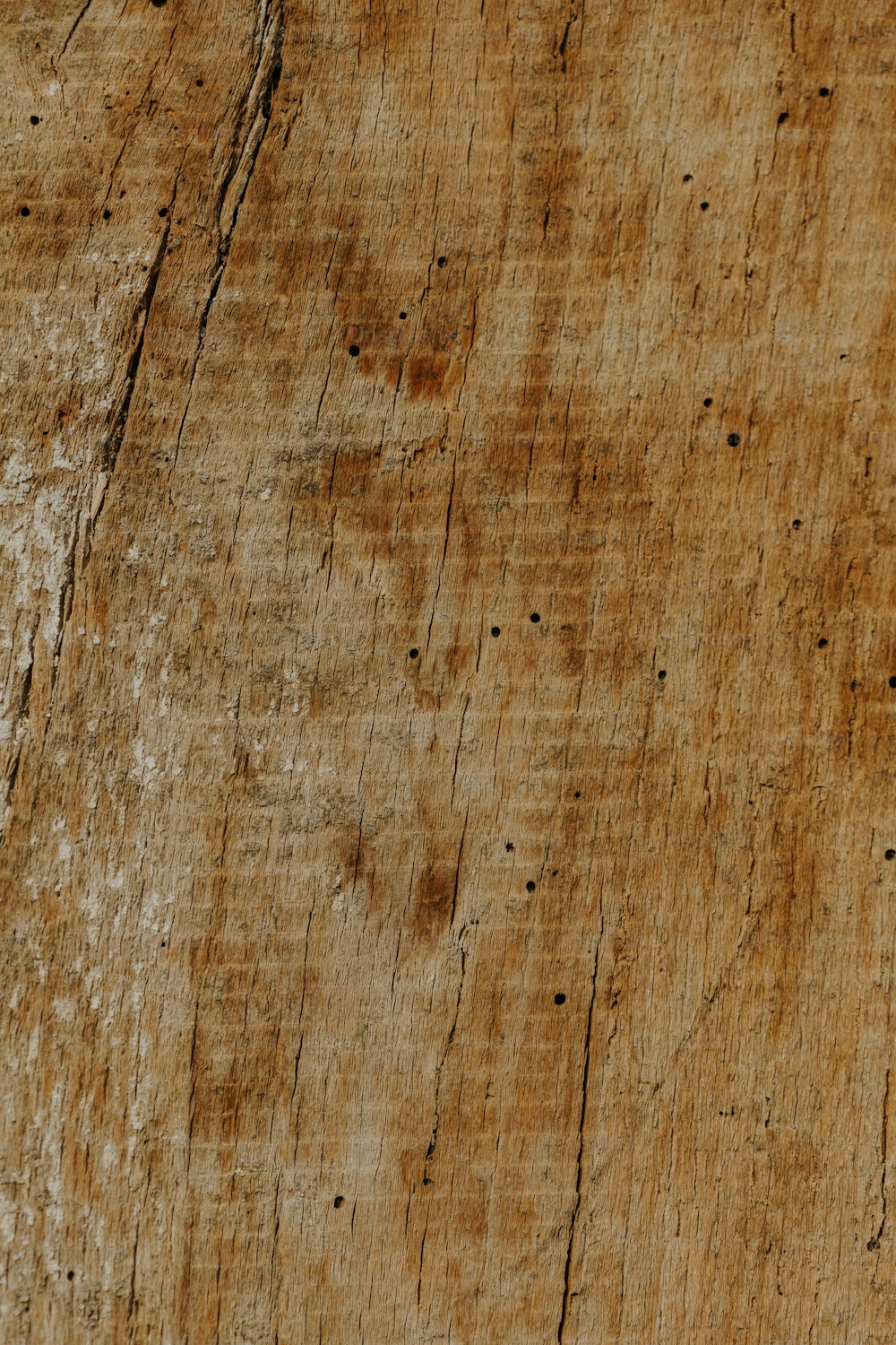 Đồ gỗ: Với độ sắc nét chi tiết vô cùng độc đáo, hình ảnh của đồ gỗ sẽ khiến bạn phải khâm phục về tài năng của những nghệ nhân đã tạo ra chúng. Với chất liệu gỗ tự nhiên và độ bền cao, bạn sẽ cảm nhận được sự ấm áp và sang trọng mà chỉ đồ gỗ mới có thể mang đến.