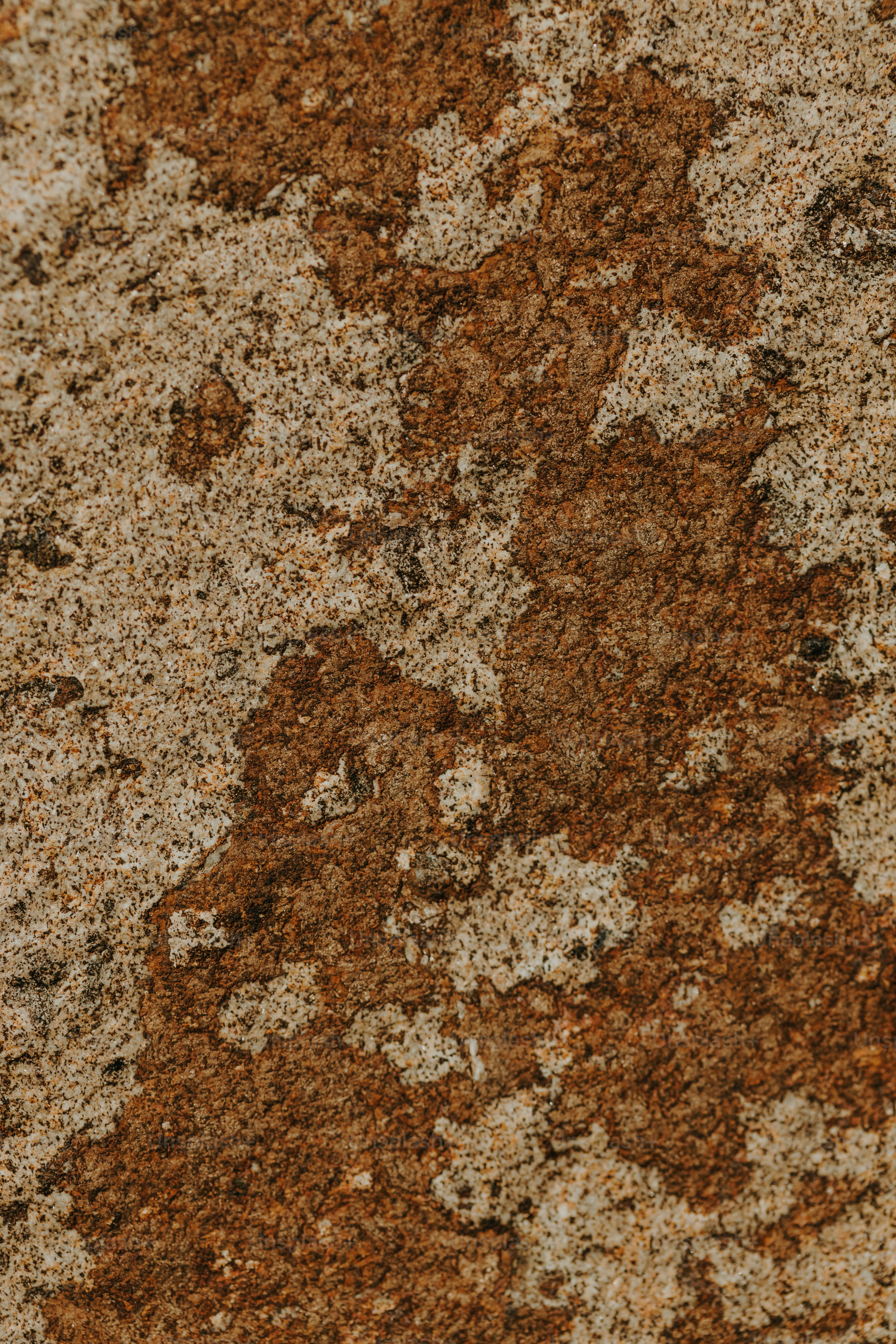 Bilder zum Thema Brauner Hintergrund | Kostenlose Bilder auf Unsplash  herunterladen, image size:3000x4500