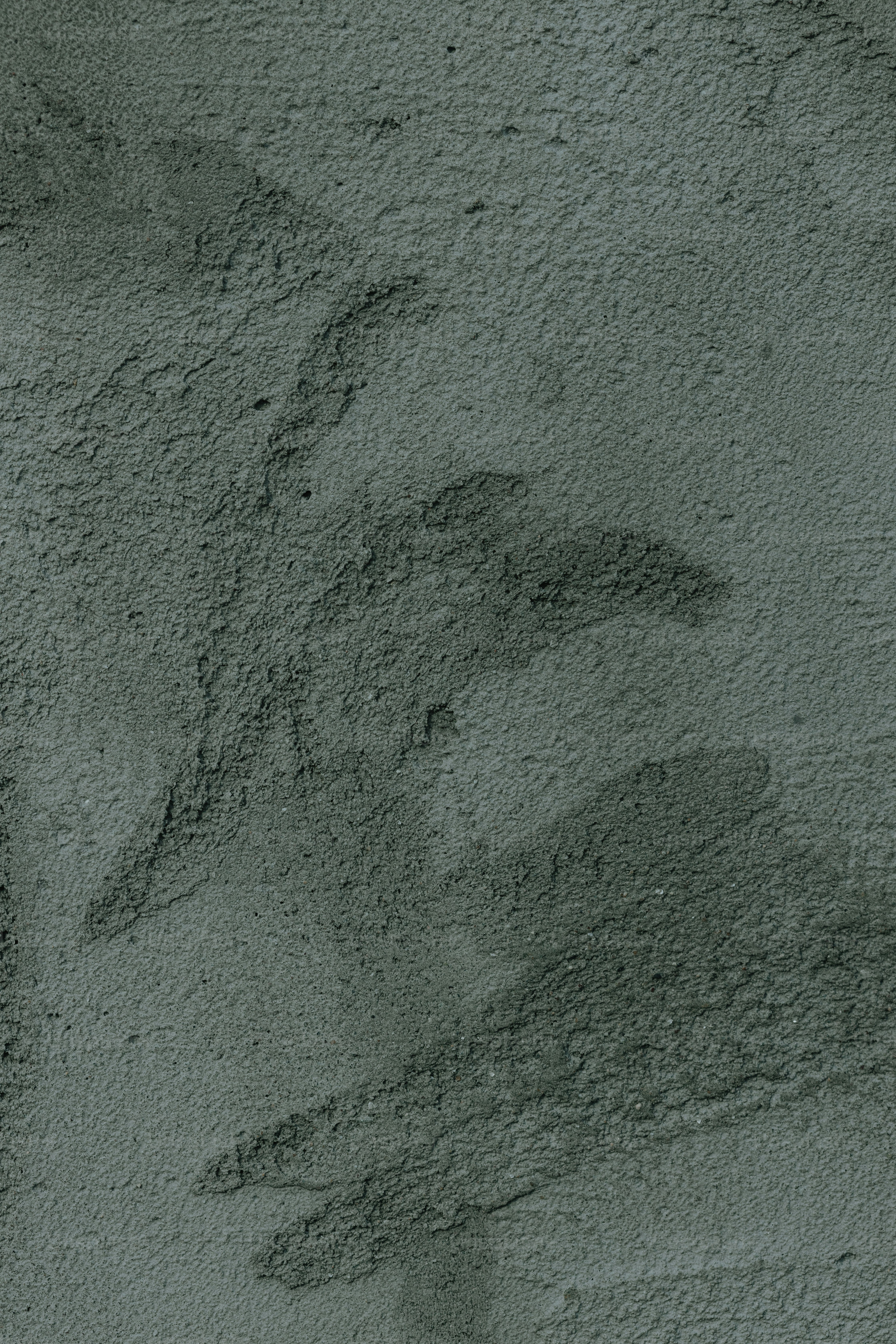 a black and white photo of a bird on the ground