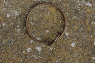 un anneau métallique rouillé posé sur un sol en ciment