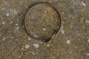 a rusted metal ring sitting on top of a cement ground