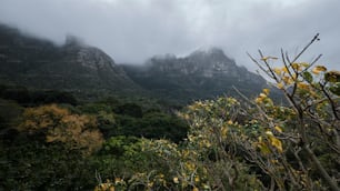 a view of a mountain range in the clouds