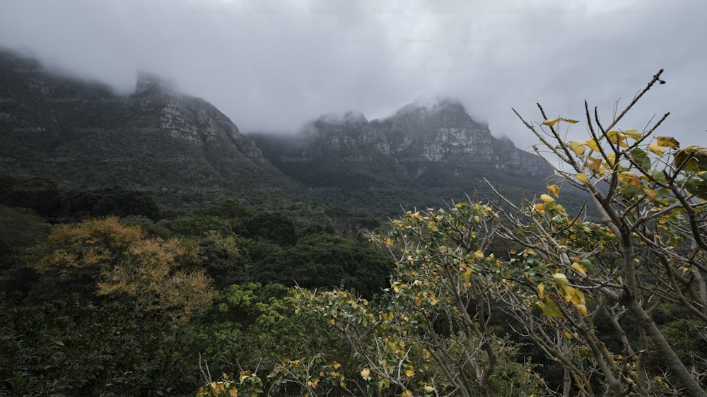 a view of a mountain range in the clouds