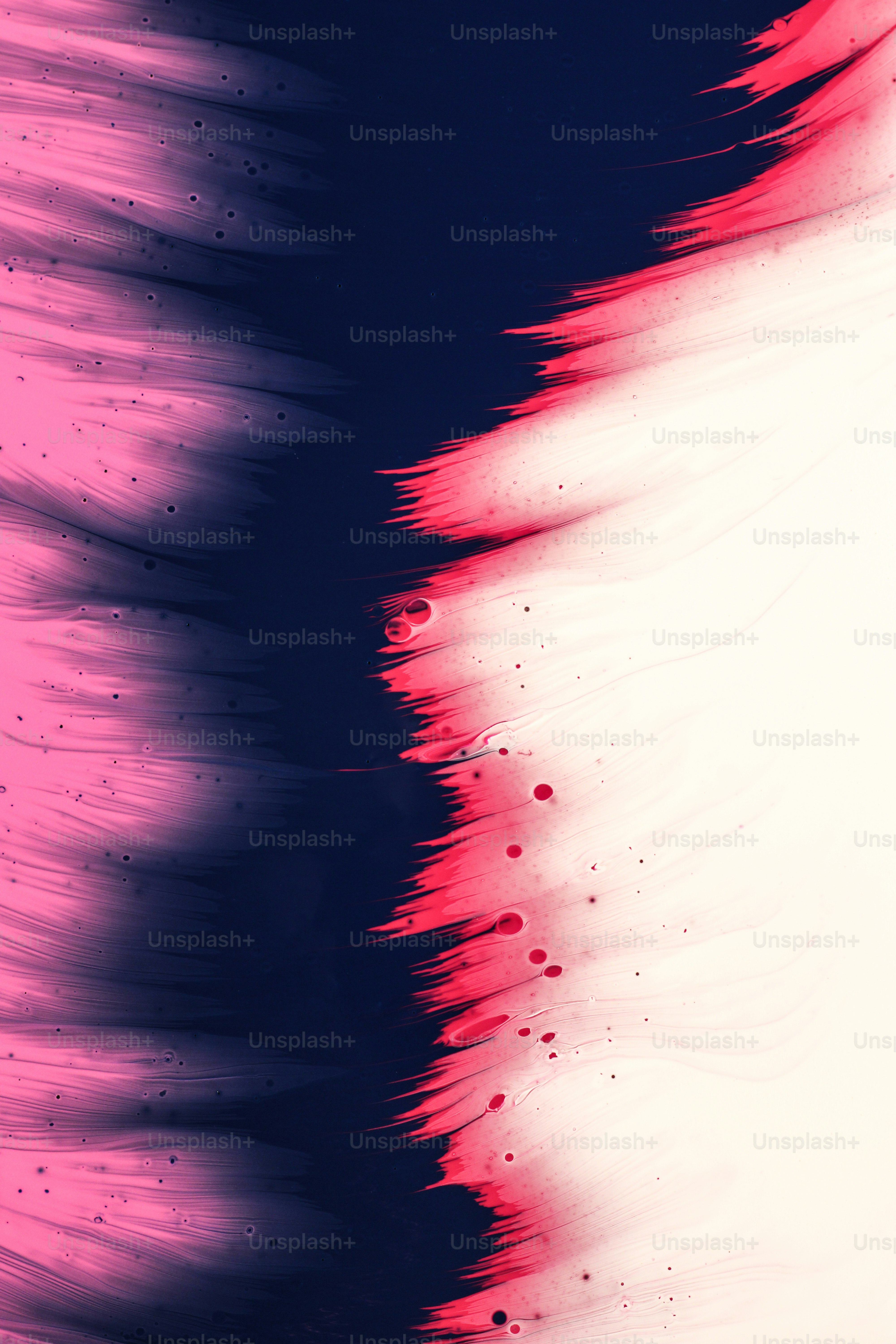 premium_photo-1675813860314-e1227a8cc5bc