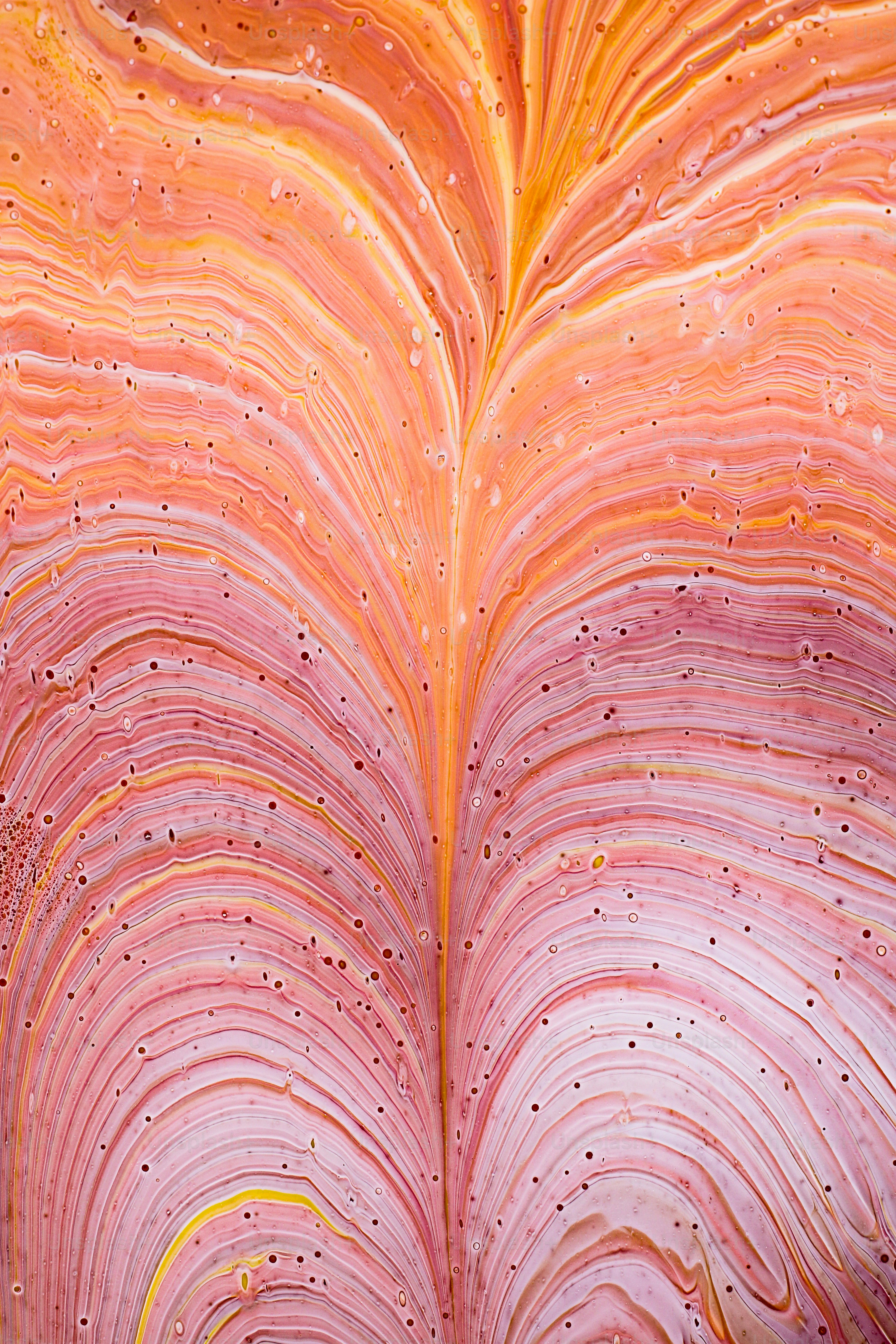 Gros plan d’une feuille rose et jaune