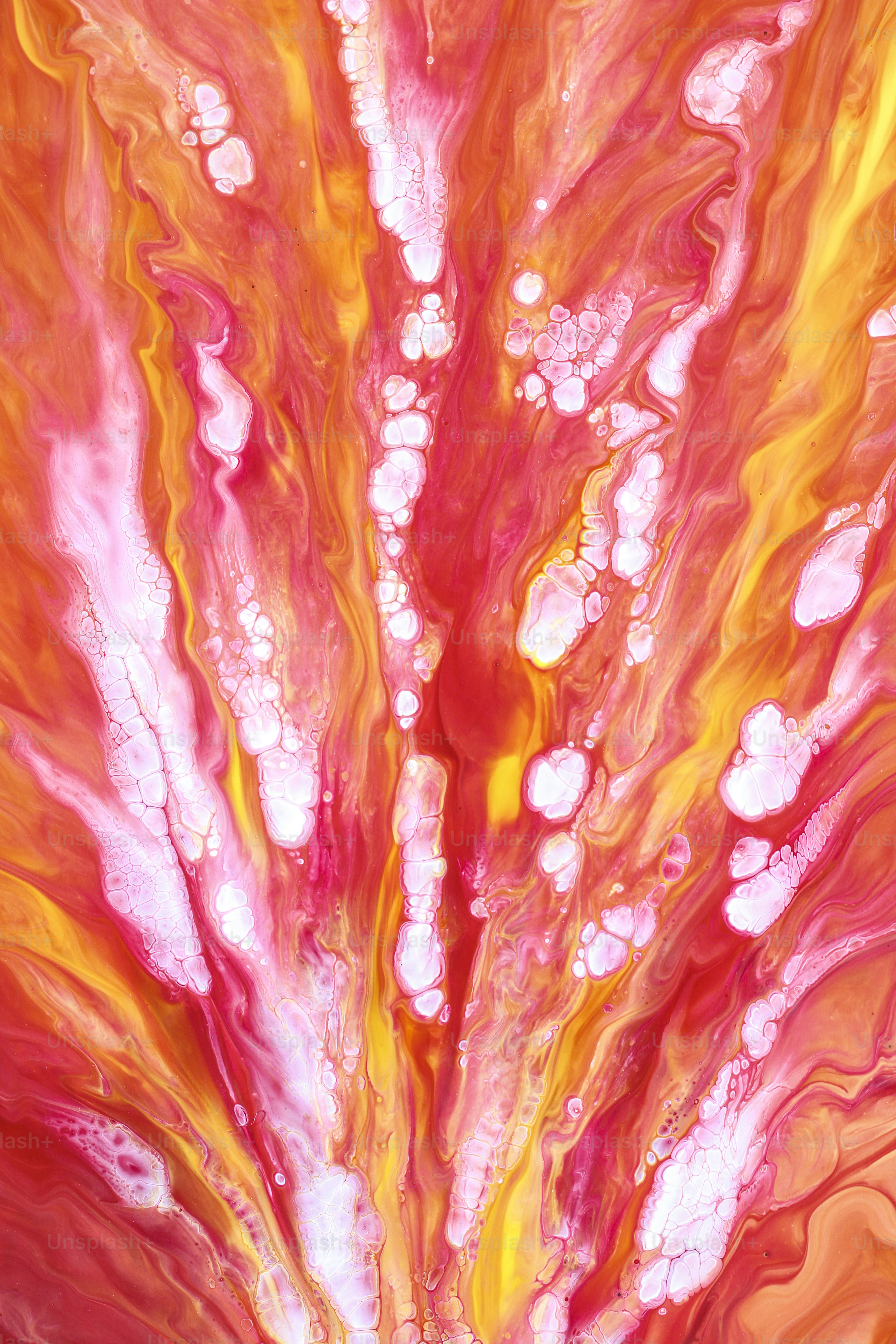 a close up of a red and yellow flower