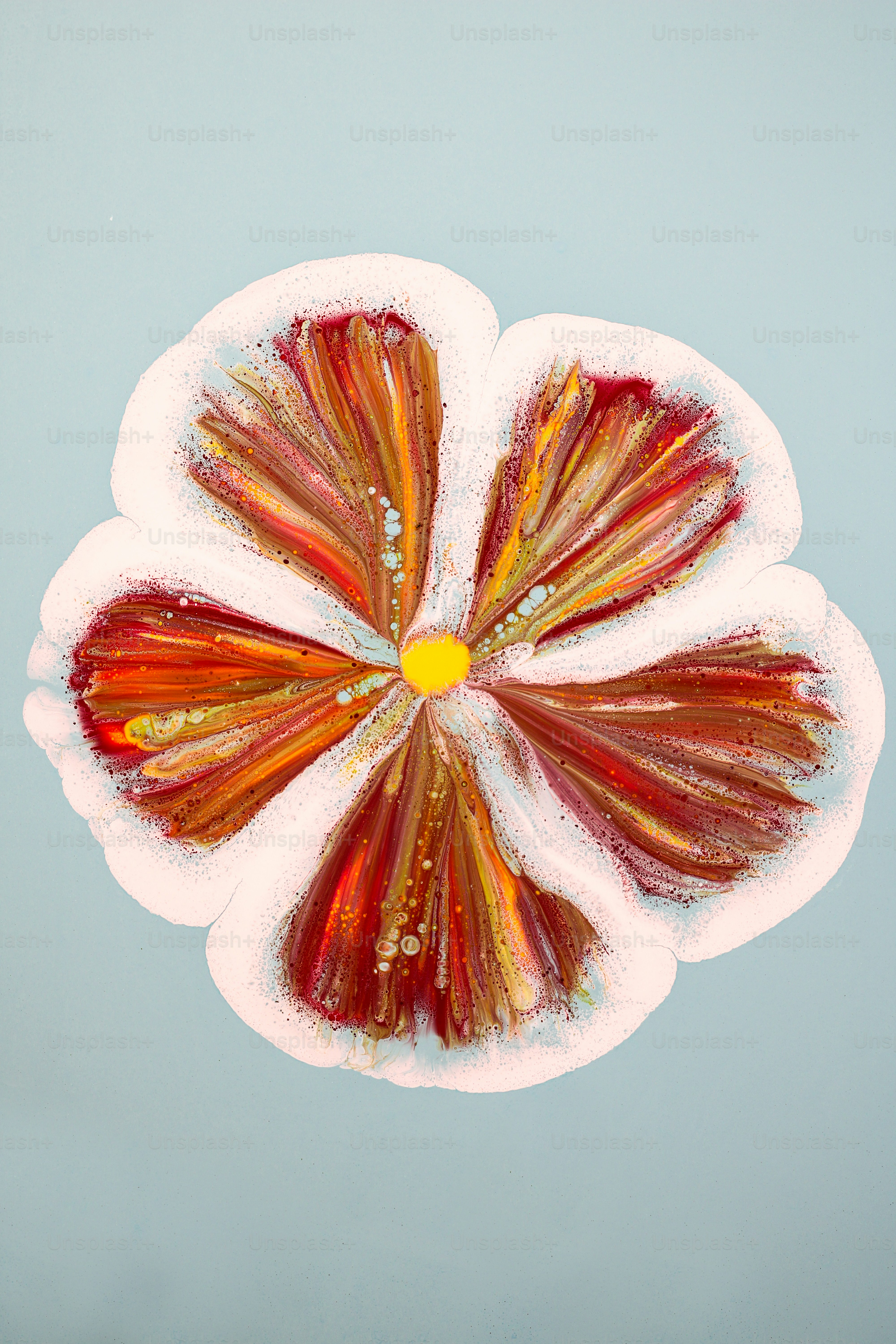 a close up of a flower on a blue background