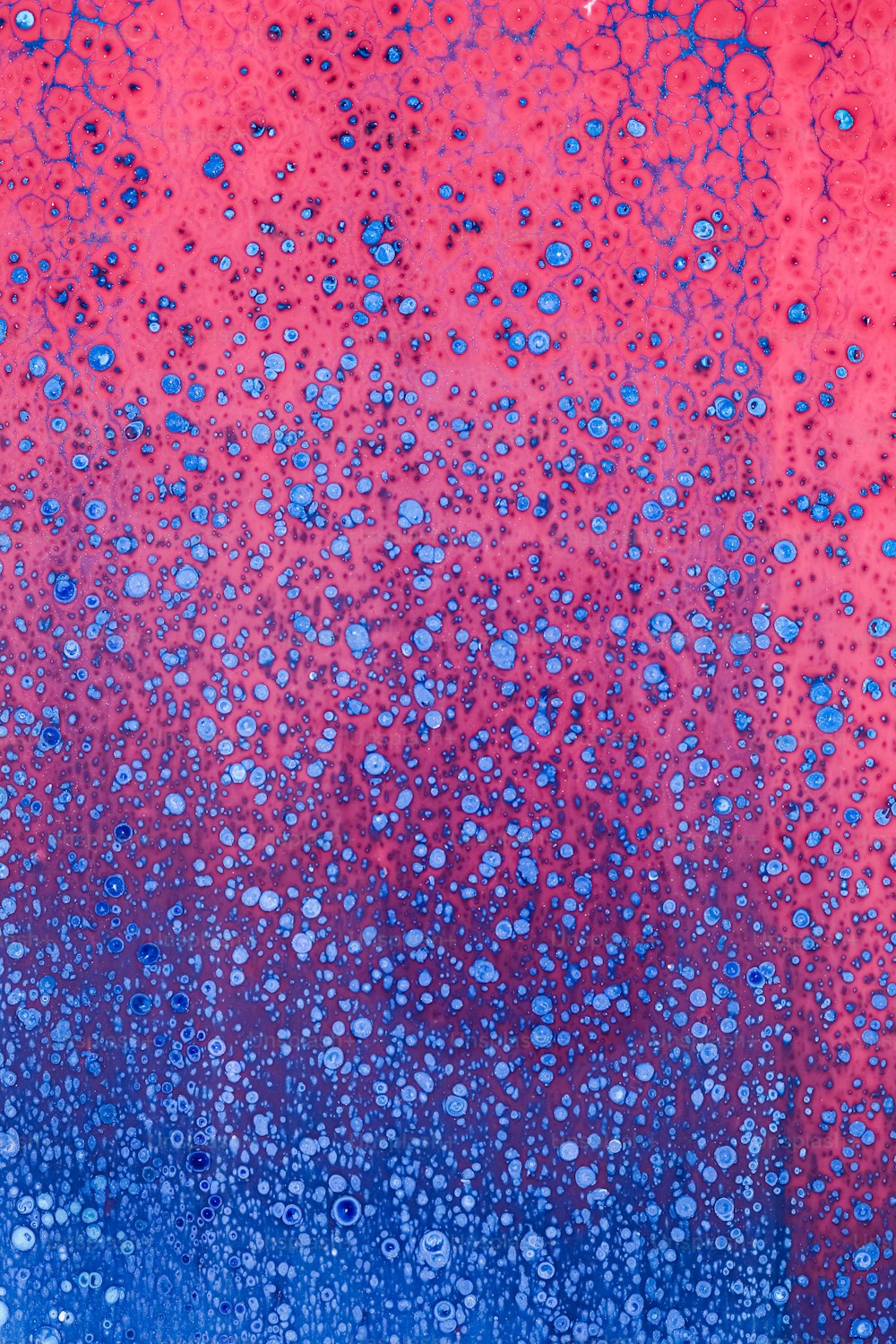 a red and blue background with drops of water