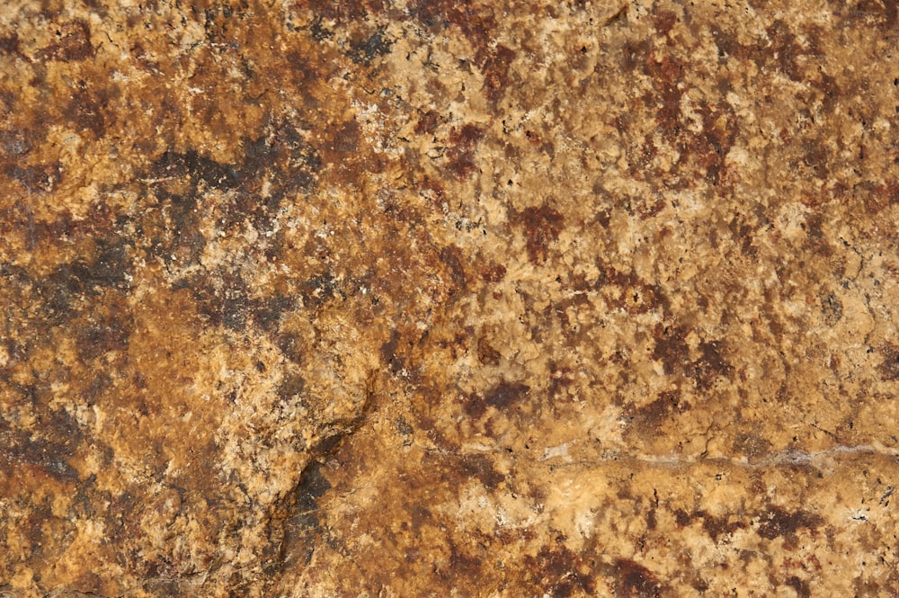 a close up of a rock with brown and yellow colors