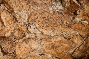 un gros plan d’un rocher avec des fissures