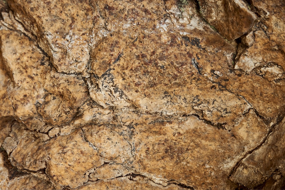 a close up of a rock with cracks in it