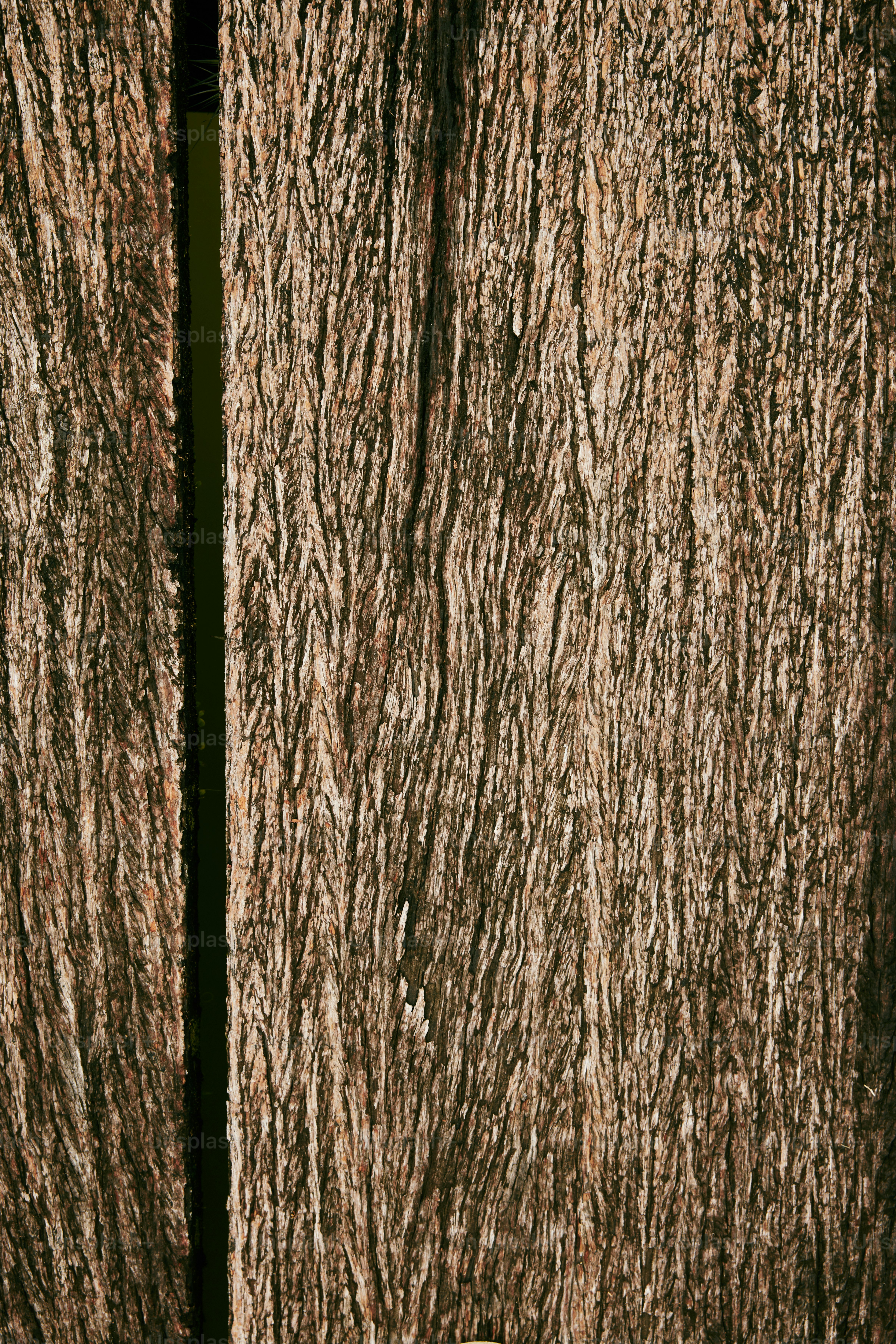 a close up of the bark of a tree
